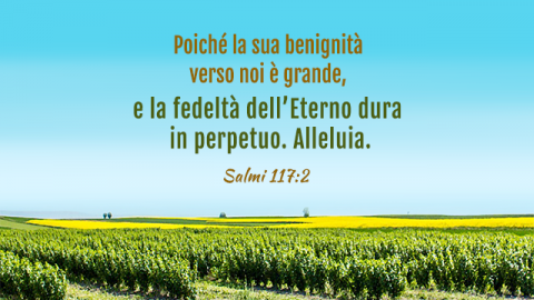 Storie della Bibbia