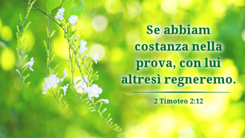 Bibbia forza