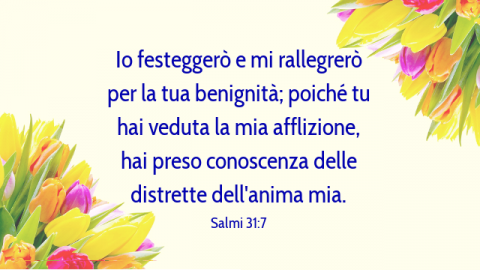 Bibbia gioia