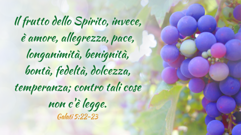 Bibbia lo Spirito Santo