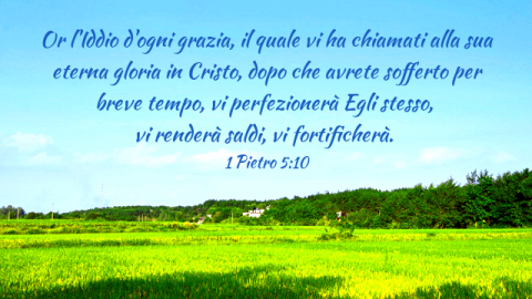 Bibbia sofferenza