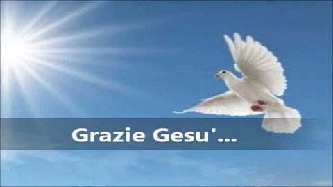 Bibbia tu mi rialzi