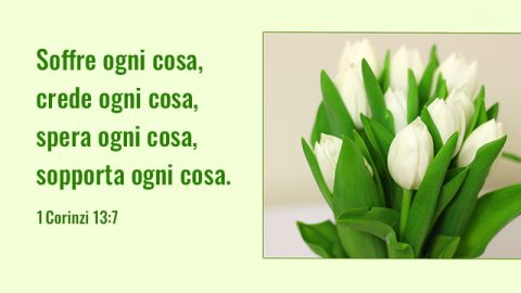 l'nsegnamento