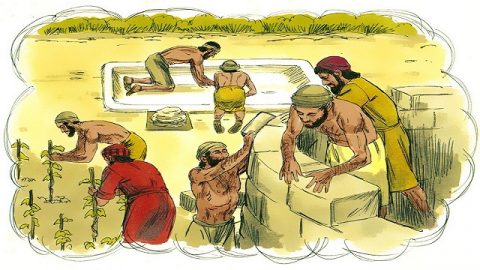 Storie della Bibbia