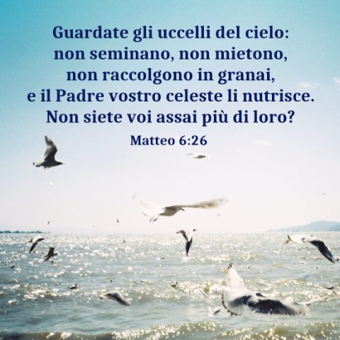 amare Dio