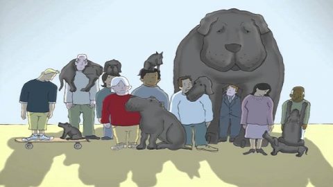 I had a black dog