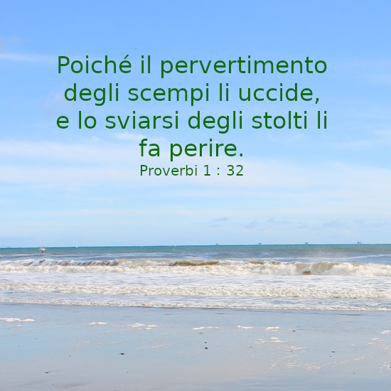 Proverbi 132 Investigare la Bibbia