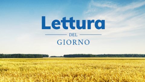 Lettura del giorno - venerdì