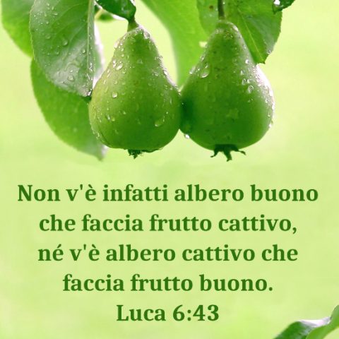Parola di Dio