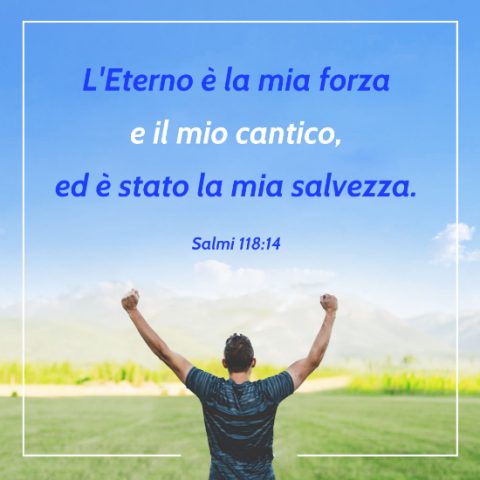 Dio salva
