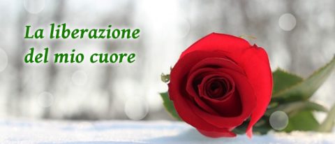 La liberazione del mio cuore
