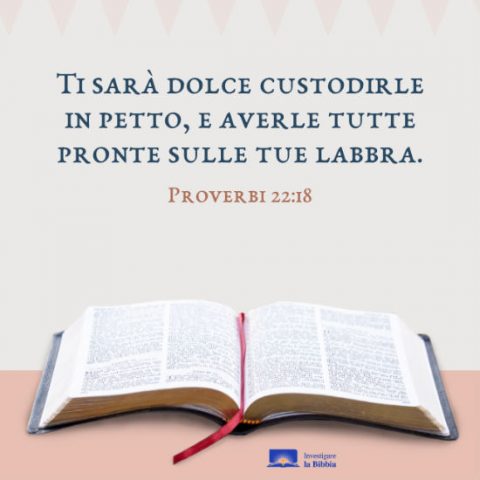 leggere la Bibbia e molto importente per i cristiani