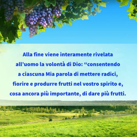 Portare spesso frutto in Cristo