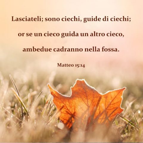 Matteo