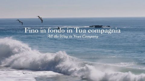 Mare e uccelli