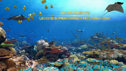 Film cristiani