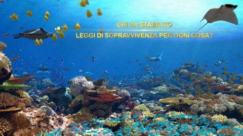 Film cristiani