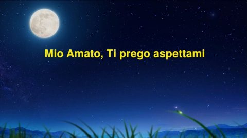Mio Amato, Ti prego aspettami