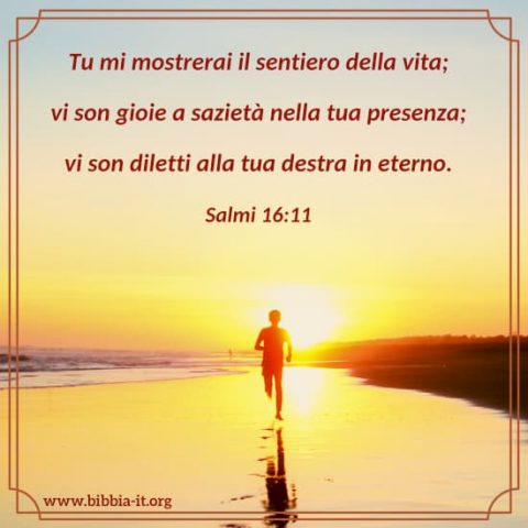 I cristiani stanno correndo