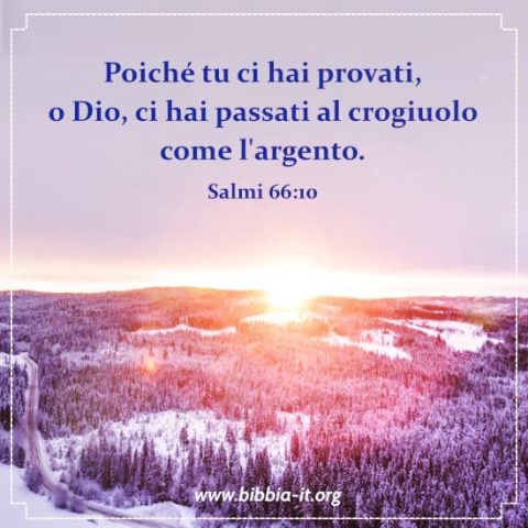 Salmi 66：10