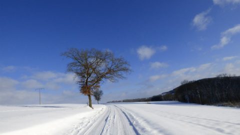 Giorno di neve