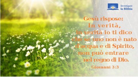 Bibbia,Il risorgimento,fiori,luce,sole,vita