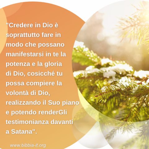 neve,pino,luce