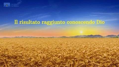 Campo di grano
