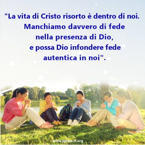 credente,pregare,cristiane,culto