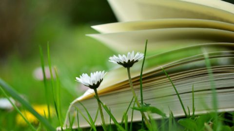 La Bibbia sulla terra con i fiori.