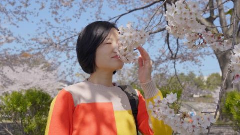 una ragazza visitare i fiori, pensare tutte le cose nelle mani di Dio.