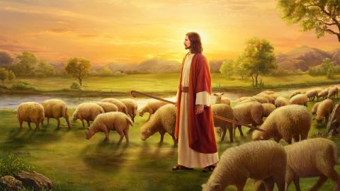 gesu,cristo,agnello,sole,luce