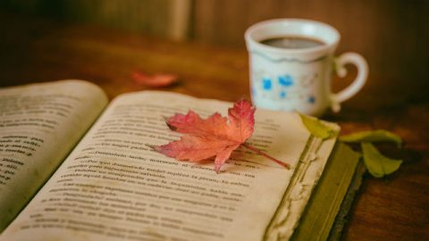 leggere la bibbia ogni giorno