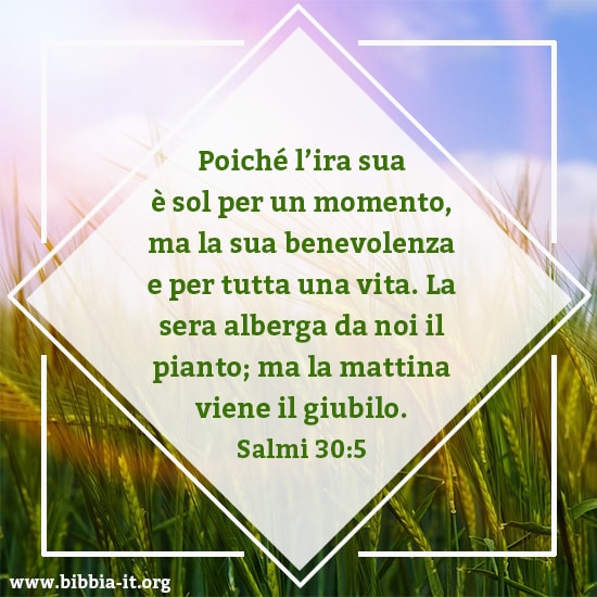 30 la bibbia [11.13 GB]