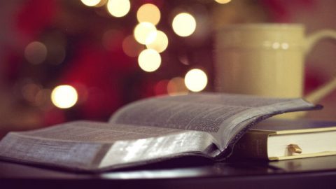 un libro si chiama la bibbia