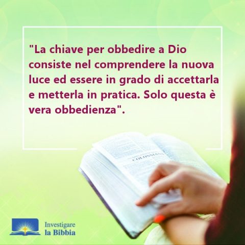 una ragazza legge la Bibbia
