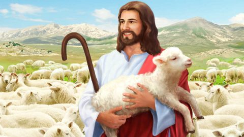 gesu,pecora,cristo,sole,nuvole