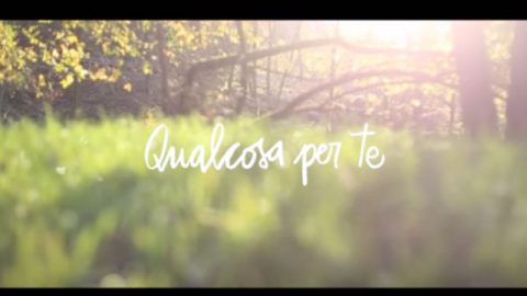 tutte le cose nella luce di Dio