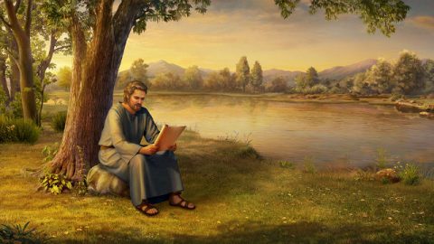 Pietro legge la Bibbia sotto l'albero