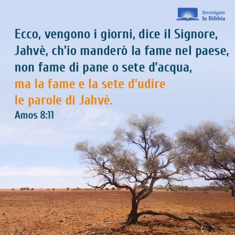 L'albero ha perso la vita che Dio ha dato