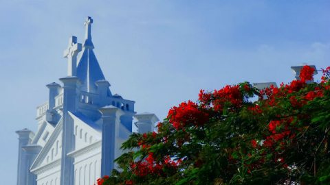 una chiesa che adora il Signore Gesù
