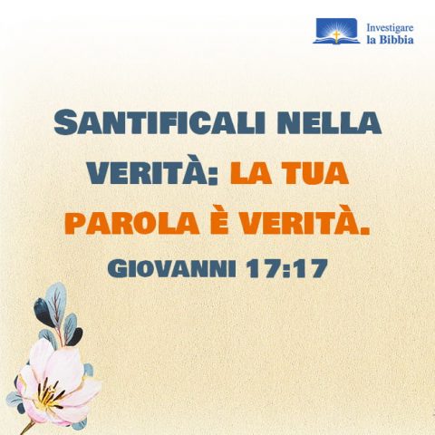 Bellissimo creatore di testimoni di fiori