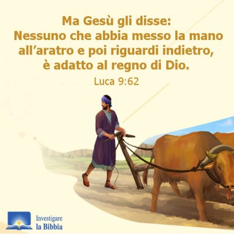 il vangelo di Luca messo la mano all’aratro e poi riguardi indietro