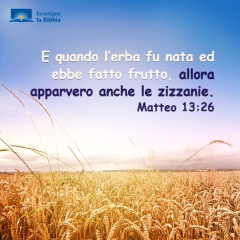 Matteo 13:26