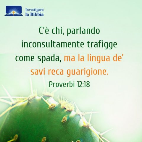 Le piante sono fatte da Dio