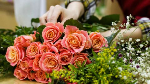 Bellissimi fiori