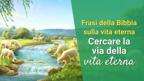 Frasi della Bibbia sulla vita eterna