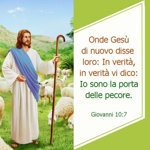 Gesù è un buon pastore, protegge sempre le pecore