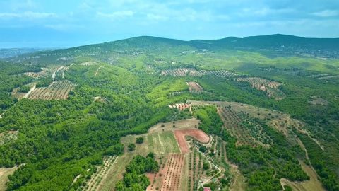 Foto di paesaggio