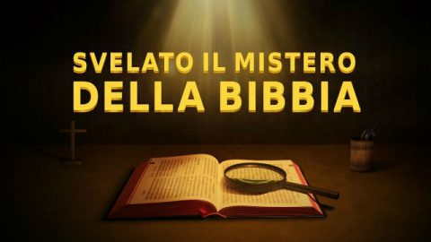 un raggio di luce brilla sulla Bibbia